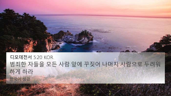 디모데전서 5:20 KOR Bible Verse Image