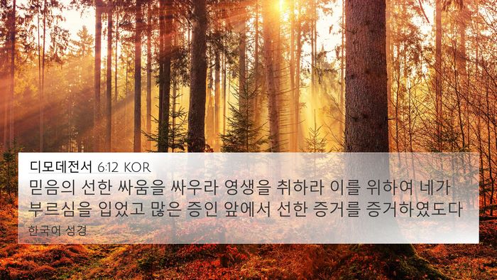 디모데전서 6:12 KOR Bible Verse Image
