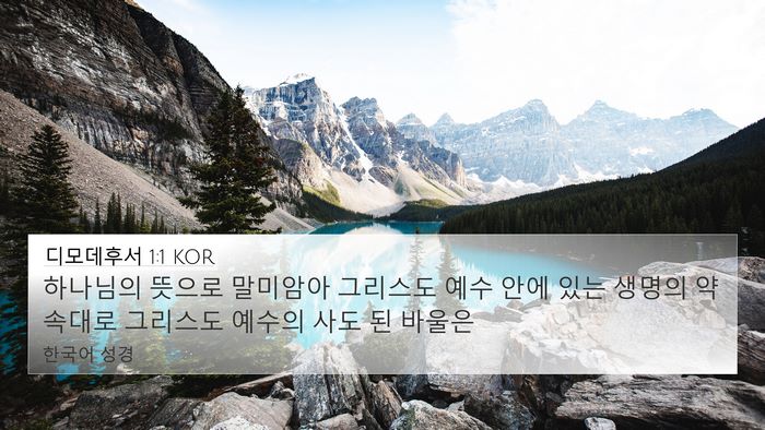 디모데후서 1:1 KOR Bible Verse Image