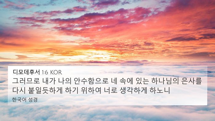 디모데후서 1:6 KOR Bible Verse Image