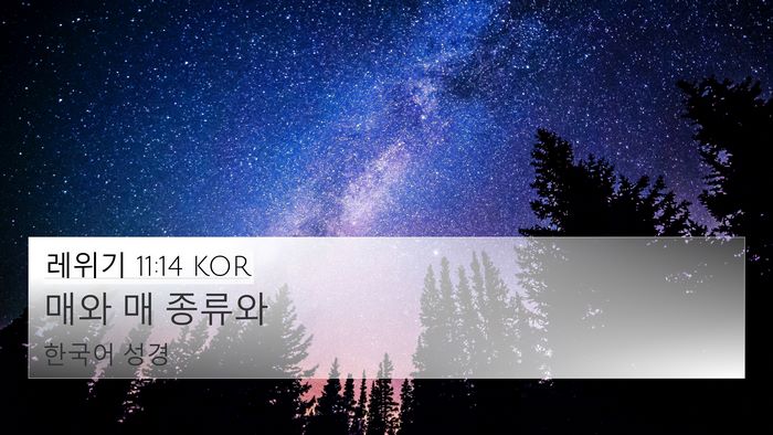 레위기 11:14 KOR 4K Wallpaper - 매와 매 - 4K Wallpaper Bible Verse