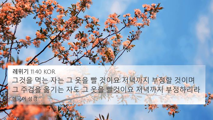 레위기 11:40 KOR 4K Wallpaper - 그것을 먹는 자는 그 옷을 빨 것이요 - 4K Wallpaper Bible Verse