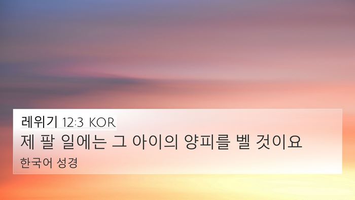 레위기 12:3 KOR Bible Verse Image