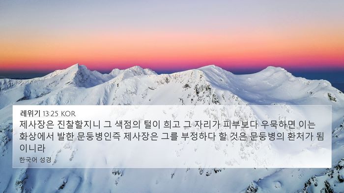 레위기 13:25 KOR 4K Wallpaper - 제사장은 진찰할지니 그 색점의 털이 - 4K Wallpaper Bible Verse