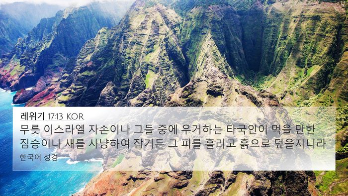 레위기 17:13 KOR Bible Verse Image