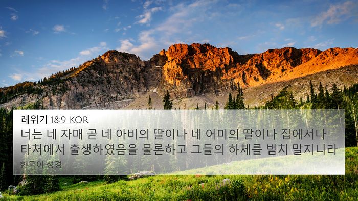 레위기 18:9 KOR Bible Verse Image