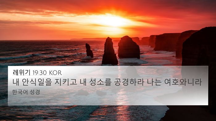 레위기 19:30 KOR Bible Verse Image