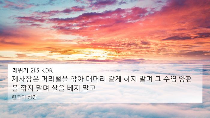 레위기 21:5 KOR Bible Verse Image