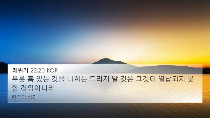 레위기 22:20 KOR Bible Verse Image