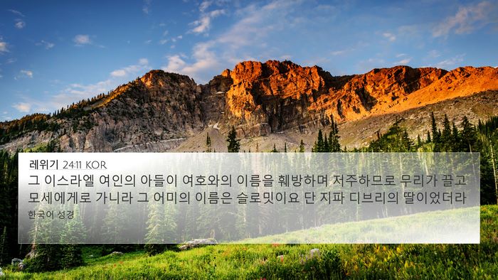 레위기 24:11 KOR 4K Wallpaper - 그 이스라엘 여인의 아들이 여호와의 - 4K Wallpaper Bible Verse
