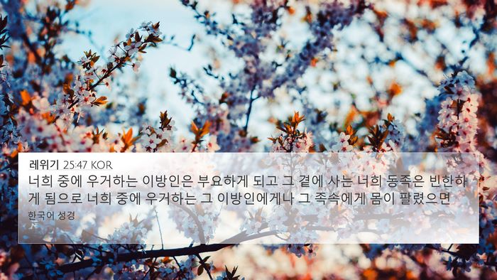 레위기 25:47 KOR Bible Verse Image