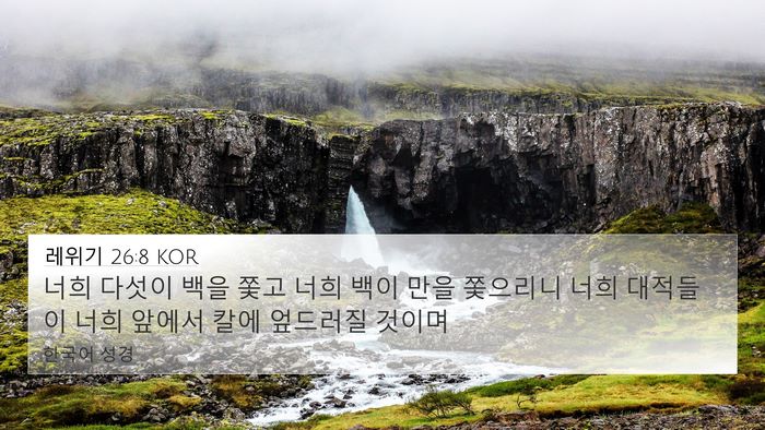 레위기 26:8 KOR Bible Verse Image