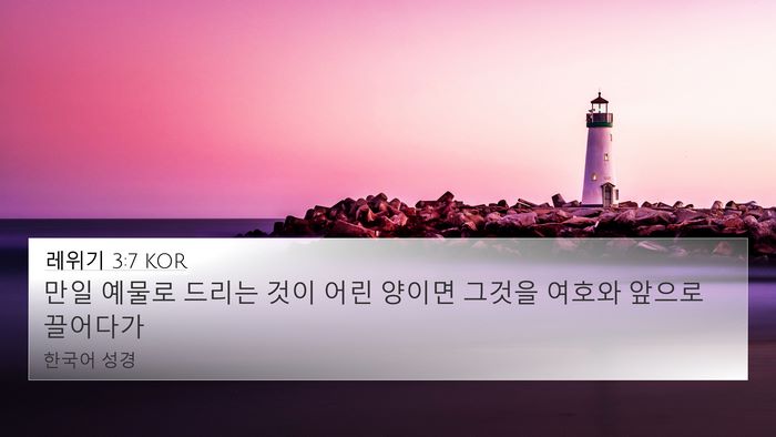 레위기 3:7 KOR 4K Wallpaper - 만일 예물로 드리는 것이 어린 - 4K Wallpaper Bible Verse