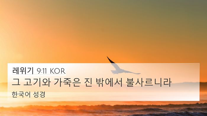 레위기 9:11 KOR 4K Wallpaper - 그 고기와 가죽은 진 밖에서 - 4K Wallpaper Bible Verse