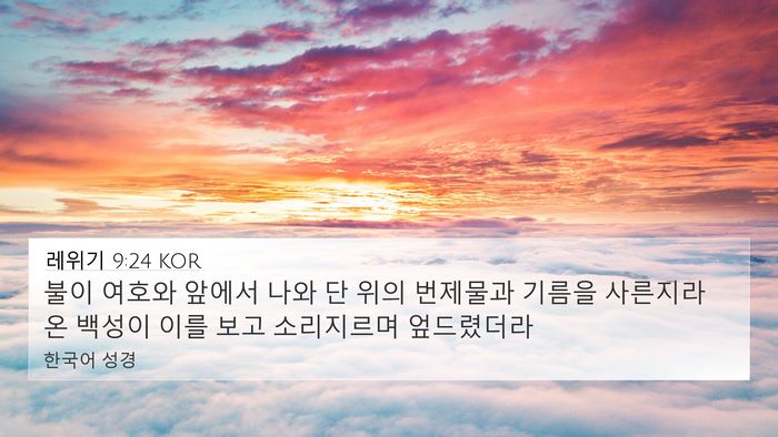 레위기 9:24 KOR Bible Verse Image
