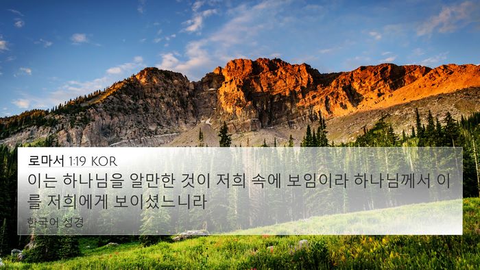 로마서 1:19 KOR Bible Verse Image