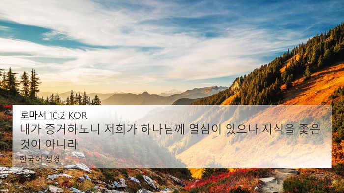 로마서 10:2 KOR Bible Verse Image