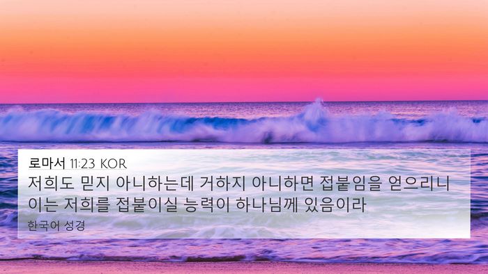 로마서 11:23 KOR Bible Verse Image