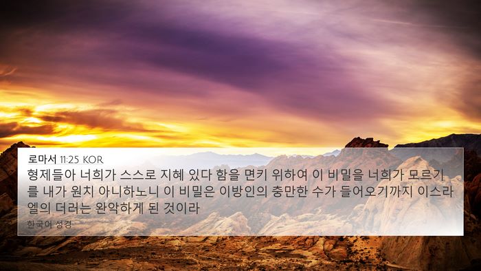 로마서 11:25 KOR Bible Verse Image