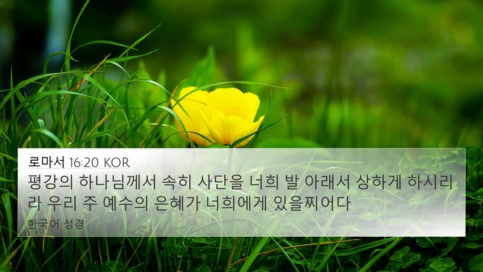 로마서 16:20 KOR Bible Verse Image