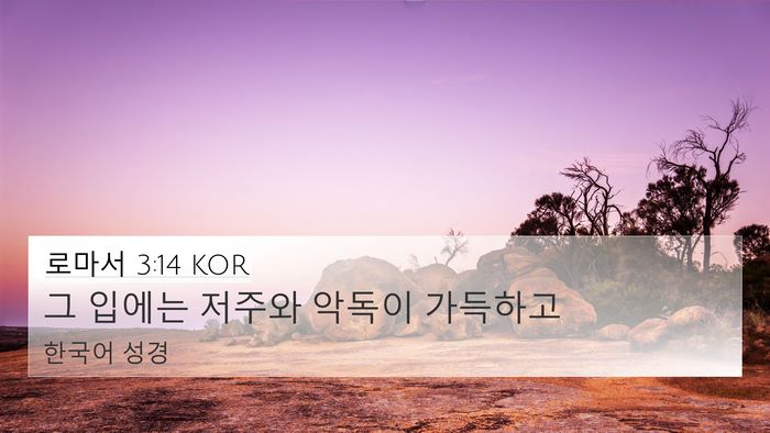 로마서 3:14 KOR Bible Verse Image