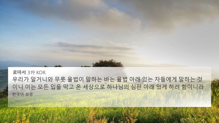 로마서 3:19 KOR Bible Verse Image