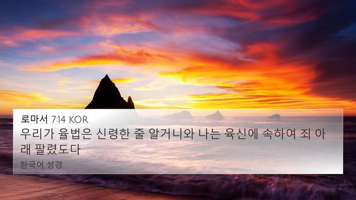 로마서 7:14 KOR Bible Verse Image