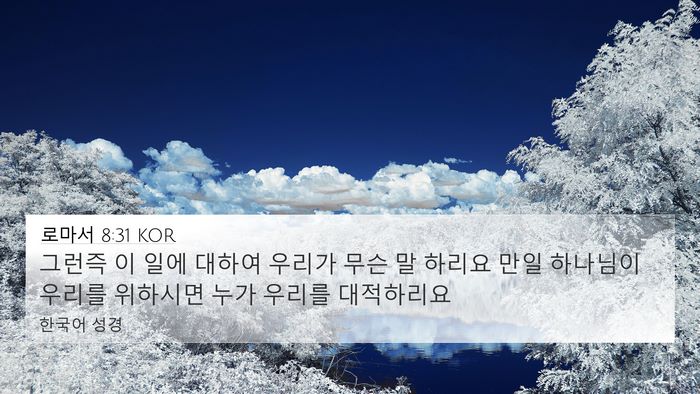 로마서 8:31 KOR Bible Verse Image
