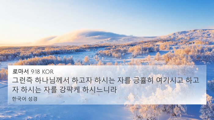 로마서 9:18 KOR Bible Verse Image