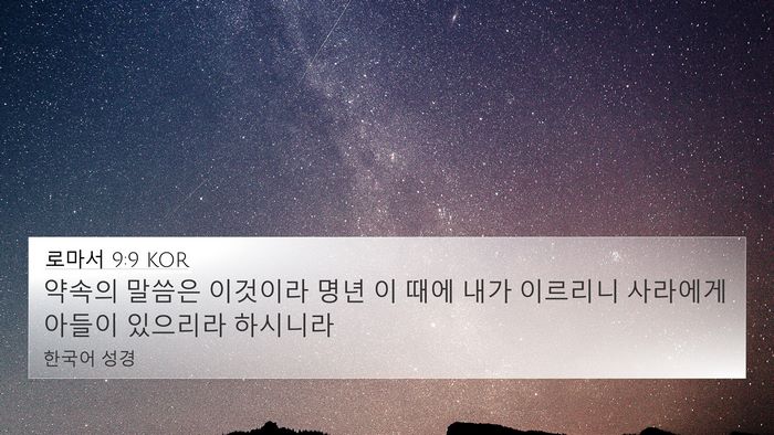 로마서 9:9 KOR 4K Wallpaper - 약속의 말씀은 이것이라 명년 이 - 4K Wallpaper Bible Verse
