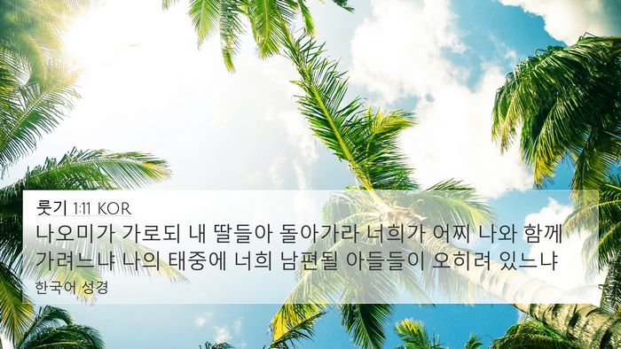룻기 1:11 KOR Bible Verse Image