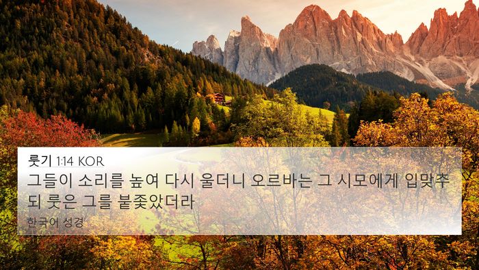 룻기 1:14 KOR Bible Verse Image