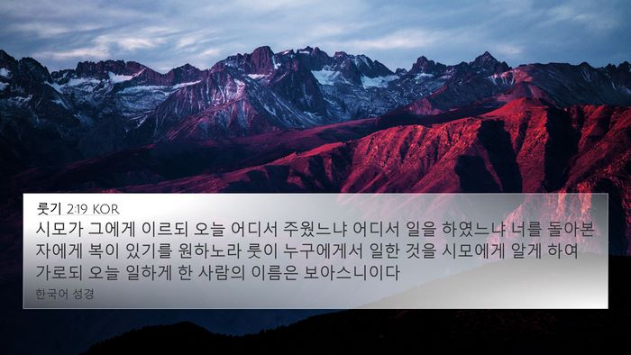 룻기 2:19 KOR 4K Wallpaper - 시모가 그에게 이르되 오늘 어디서 - 4K Wallpaper Bible Verse