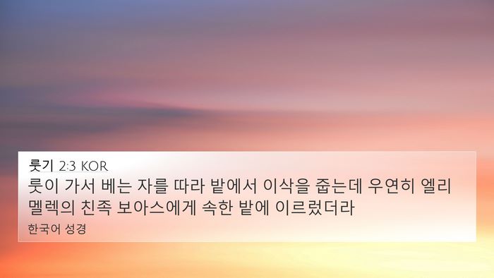 룻기 2:3 KOR 4K Wallpaper - 룻이 가서 베는 자를 따라 밭에서 - 4K Wallpaper Bible Verse