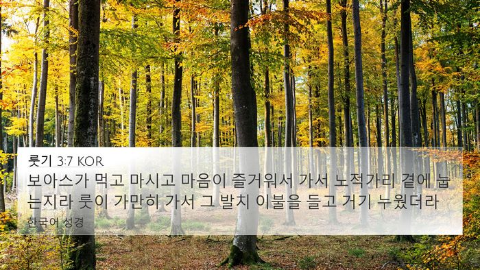 룻기 3:7 KOR 4K Wallpaper - 보아스가 먹고 마시고 마음이 - 4K Wallpaper Bible Verse