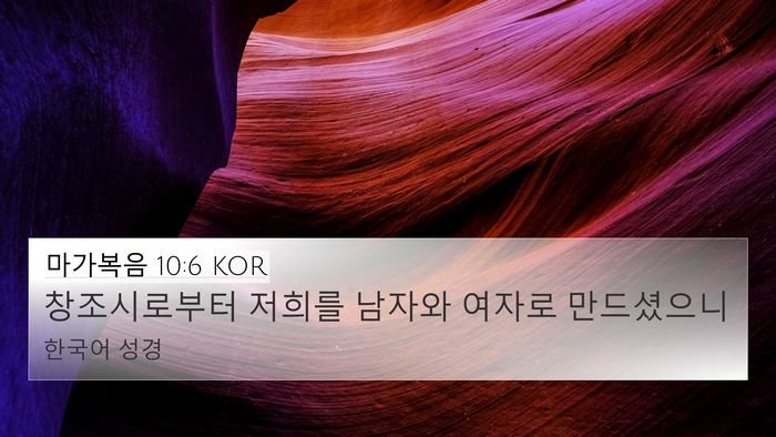 마가복음 10:6 KOR Bible Verse Image