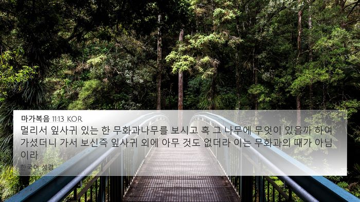 마가복음 11:13 KOR 4K Wallpaper - 멀리서 잎사귀 있는 한 무화과나무를 - 4K Wallpaper Bible Verse