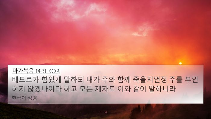 마가복음 14:31 KOR Bible Verse Image