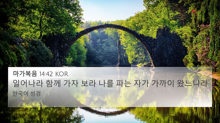 마가복음 14:42 KOR 4K Wallpaper - 일어나라 함께 가자 보라 나를 파는 - 4K Wallpaper Bible Verse