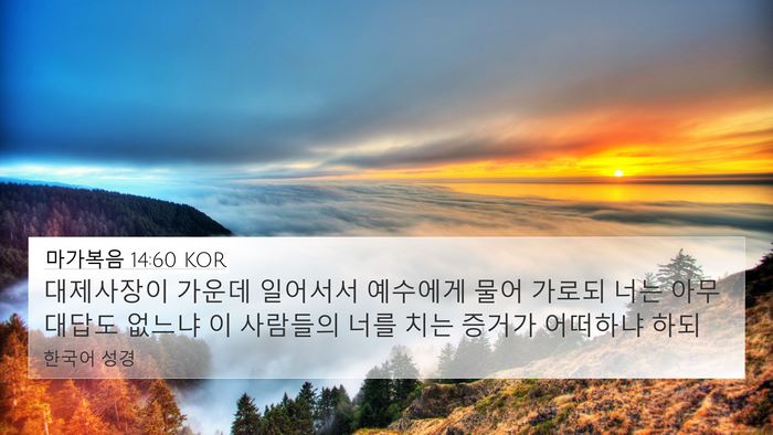 마가복음 14:60 KOR Bible Verse Image