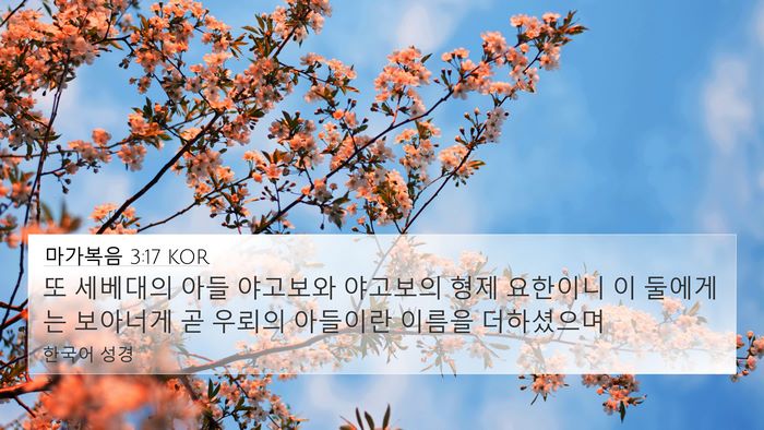 마가복음 3:17 KOR Bible Verse Image