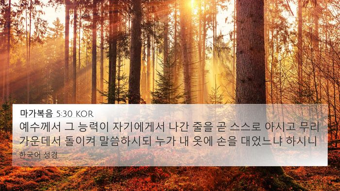 마가복음 5:30 KOR Bible Verse Image