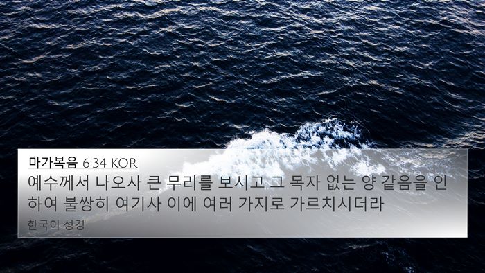 마가복음 6:34 KOR Bible Verse Image