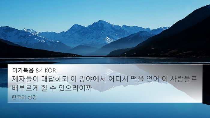 마가복음 8:4 KOR Bible Verse Image