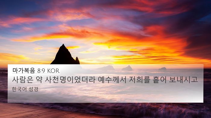 마가복음 8:9 KOR Bible Verse Image