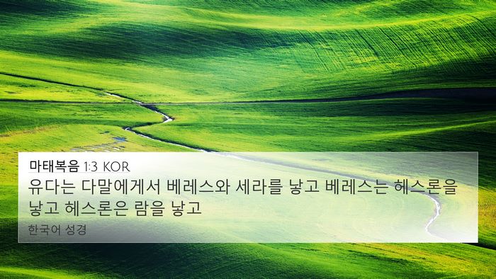 마태복음 1:3 KOR Bible Verse Image
