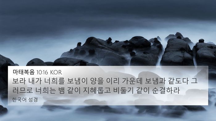 마태복음 10:16 KOR Bible Verse Image
