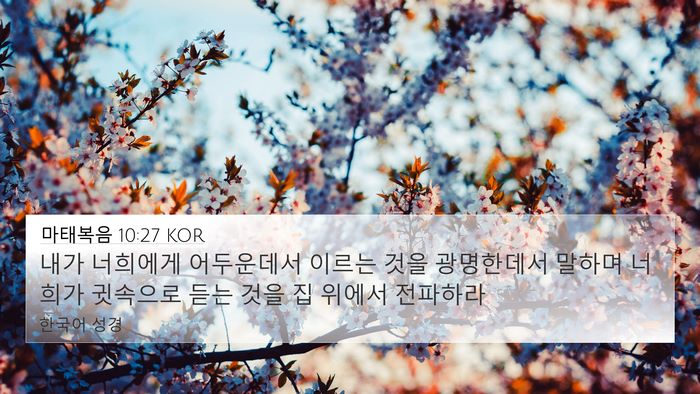 마태복음 10:27 KOR Bible Verse Image