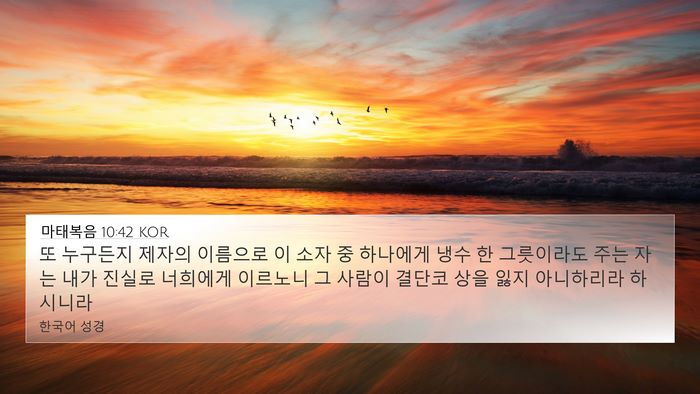 마태복음 10:42 KOR Bible Verse Image