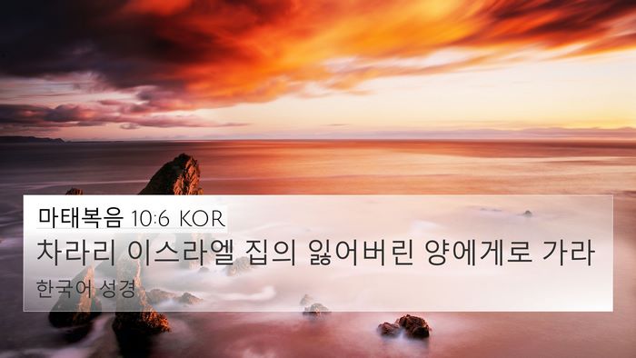 마태복음 10:6 KOR Bible Verse Image